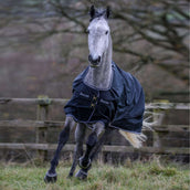 Bucas Trotting Turnout 200g Noir/Blanc Bucas Trotting Turnout 200g Noir/Blanc