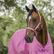 Bucas Licol Dublin Poulain Aurora Pink Bucas Licol Dublin Poulain Aurora Pink