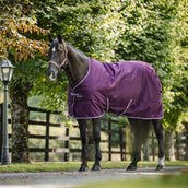 Bucas Freedom Couverture d'Écurie 300g Blackberry Bucas Freedom Couverture d'Écurie 300g Blackberry