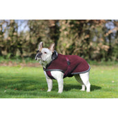 Bucas Couverture pour Chien Show-Line Burgundy/Gris Bucas Couverture pour Chien Show-Line Burgundy/Gris