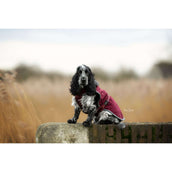 Bucas Couverture pour Chien Show-Line Burgundy/Gris Bucas Couverture pour Chien Show-Line Burgundy/Gris