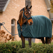 Cavallo Corde pour Licol CavalJace avec Mousqueton Dark Peacock Cavallo Corde pour Licol CavalJace avec Mousqueton Dark Peacock