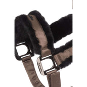 Cavallo Licol CavalJero Mocha Latte Cavallo Licol CavalJero Mocha Latte