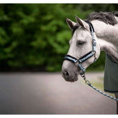Cavallo Licol CavalJero Soft Aqua Cavallo Licol CavalJero Soft Aqua