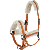 Covalliero Licol Soft AW26 Orange Covalliero Licol Soft AW26 Orange