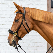 Dyon Bride Hackamore Noir Dyon Bride Hackamore Noir