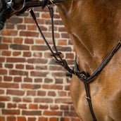 Dyon Martingale Marron Dyon Martingale Marron