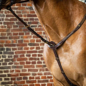 Dyon Martingale Standing Marron Dyon Martingale Standing Marron