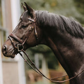 Dyon Rênes Hunter 5/8 avec Arrêts Cuir Marron Dyon Rênes Hunter 5/8 avec Arrêts Cuir Marron