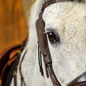 Dyon Blinkers Marron Dyon Blinkers Marron