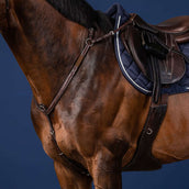 Dyon Collier de Chasse Bridge Marron Dyon Collier de Chasse Bridge Marron
