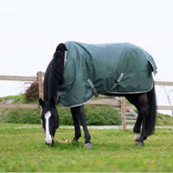 EQUITHÈME Couverture Imperméable Tyrex 600D Recyclé 0g Vert EQUITHÈME Couverture Imperméable Tyrex 600D Recyclé 0g Vert
