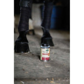 Ravene Pedicade Brush pour Sabots Chevaux Ravene Pedicade Brush pour Sabots Chevaux
