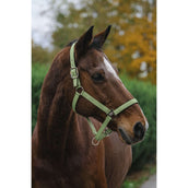 EQUITHÈME Licol Spring Nylon Vert clair EQUITHÈME Licol Spring Nylon Vert clair