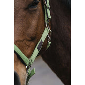 EQUITHÈME Licol Spring Nylon Vert clair EQUITHÈME Licol Spring Nylon Vert clair