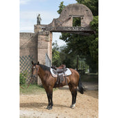 Westride Pad en feutre Gris Westride Pad en feutre Gris