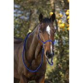 Norton Licol de monte avec Rênes Bleu Royal Norton Licol de monte avec Rênes Bleu Royal