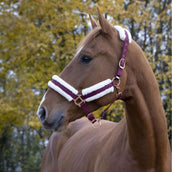 Norton Licol Confort Bordeaux Norton Licol Confort Bordeaux