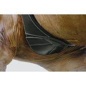 Norton Sangle Magnet Anatomique Noir Norton Sangle Magnet Anatomique Noir