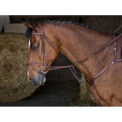Eric Thomas Collier de Chasse Hybrid Havane Eric Thomas Collier de Chasse Hybrid Havane