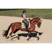 Equestrian Stockholm Chemise Dynamic Short Sleeve Pistachio White Equestrian Stockholm Chemise Dynamic Short Sleeve Pistachio White