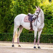 Equestrian Stockholm Guêtres Classic Mesh Midsummer Blush Equestrian Stockholm Guêtres Classic Mesh Midsummer Blush