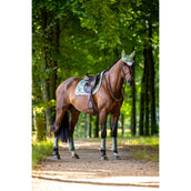 Equestrian Stockholm Guêtres Classic Mesh Pistachio White Equestrian Stockholm Guêtres Classic Mesh Pistachio White