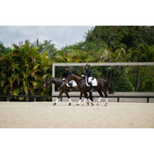 Equestrian Stockholm Tapis de Selle Dressage White Silver Equestrian Stockholm Tapis de Selle Dressage White Silver