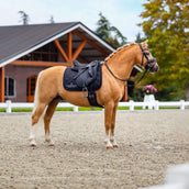 Equestrian Stockholm Tapis de Selle Line Dressage Noir Equestrian Stockholm Tapis de Selle Line Dressage Noir