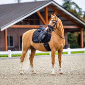 Equestrian Stockholm Tapis de Selle Line Dressage Noir Equestrian Stockholm Tapis de Selle Line Dressage Noir