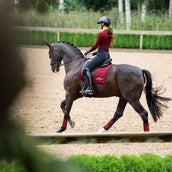 Equestrian Stockholm Tapis de Selle Line Dressage Bordeaux Equestrian Stockholm Tapis de Selle Line Dressage Bordeaux