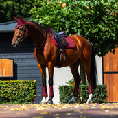Equestrian Stockholm Tapis de Selle Line de Saut Bordeaux Equestrian Stockholm Tapis de Selle Line de Saut Bordeaux