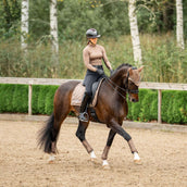 Equestrian Stockholm Tapis de Selle Line Dressage Champagne Equestrian Stockholm Tapis de Selle Line Dressage Champagne