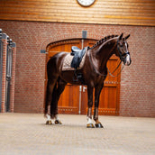 Equestrian Stockholm Tapis de Selle Line Dressage Champagne Equestrian Stockholm Tapis de Selle Line Dressage Champagne
