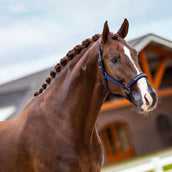 Equestrian Stockholm Licol Line Marin Equestrian Stockholm Licol Line Marin