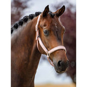 Equestrian Stockholm Licol Line Rose Equestrian Stockholm Licol Line Rose