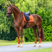 Equestrian Stockholm Tapis de Selle Satin Dressage Chestnut Equestrian Stockholm Tapis de Selle Satin Dressage Chestnut