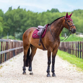 Equestrian Stockholm Bonnet Anti-Mouches Satin Merlot Equestrian Stockholm Bonnet Anti-Mouches Satin Merlot