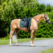 Equestrian Stockholm Tapis de Selle Satin Dressage Sycamore Green Equestrian Stockholm Tapis de Selle Satin Dressage Sycamore Green
