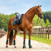 Equestrian Stockholm Tapis de Selle Satin Dressage Sycamore Green Equestrian Stockholm Tapis de Selle Satin Dressage Sycamore Green