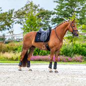 Equestrian Stockholm Tapis de Selle Velvet Dressage Noir Equestrian Stockholm Tapis de Selle Velvet Dressage Noir