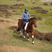 Aubrion by Shires Pull Original Fleece Bleu Aubrion by Shires Pull Original Fleece Bleu