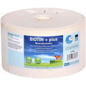 Animalixs Pierre à Lécher Biotin Plus Animalixs Pierre à Lécher Biotin Plus