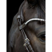 Catago Frontal Gentle Marron Catago Frontal Gentle Marron