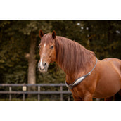 F.R.A. Rêne D'équilibre Whisper Marron F.R.A. Rêne D'équilibre Whisper Marron