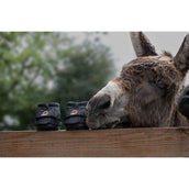 F.R.A. Cavallo Donkey/Long Ear Boot Noir F.R.A. Cavallo Donkey/Long Ear Boot Noir