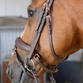 Harry's Horse Bride Bombastic Crystals Marron Harry's Horse Bride Bombastic Crystals Marron