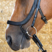 Harry's Horse Bride Anatomic Black Crystal Noir Harry's Horse Bride Anatomic Black Crystal Noir