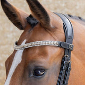 Harry's Horse Frontal Clincher Argent Harry's Horse Frontal Clincher Argent