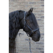 Harry's Horse Ensemble Licol EQS Black-Sand Harry's Horse Ensemble Licol EQS Black-Sand